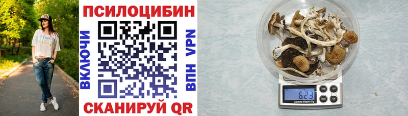блэк спрут как войти  Солнечногорск  Галлюциногенные грибы Cubensis 